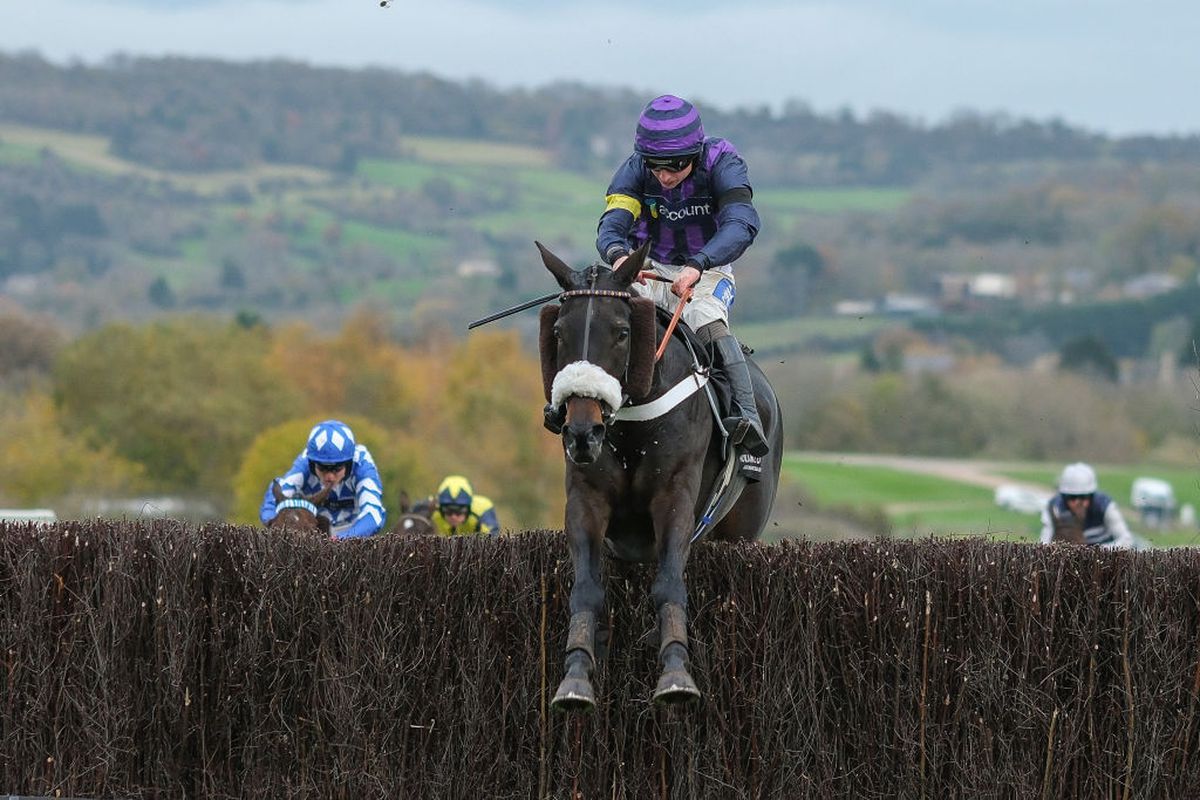 Tragedie în celebra cursă de la Cheltenham » Calul campion a murit în direct la TV.  Nu a fost singurul moment sumbru al zilei