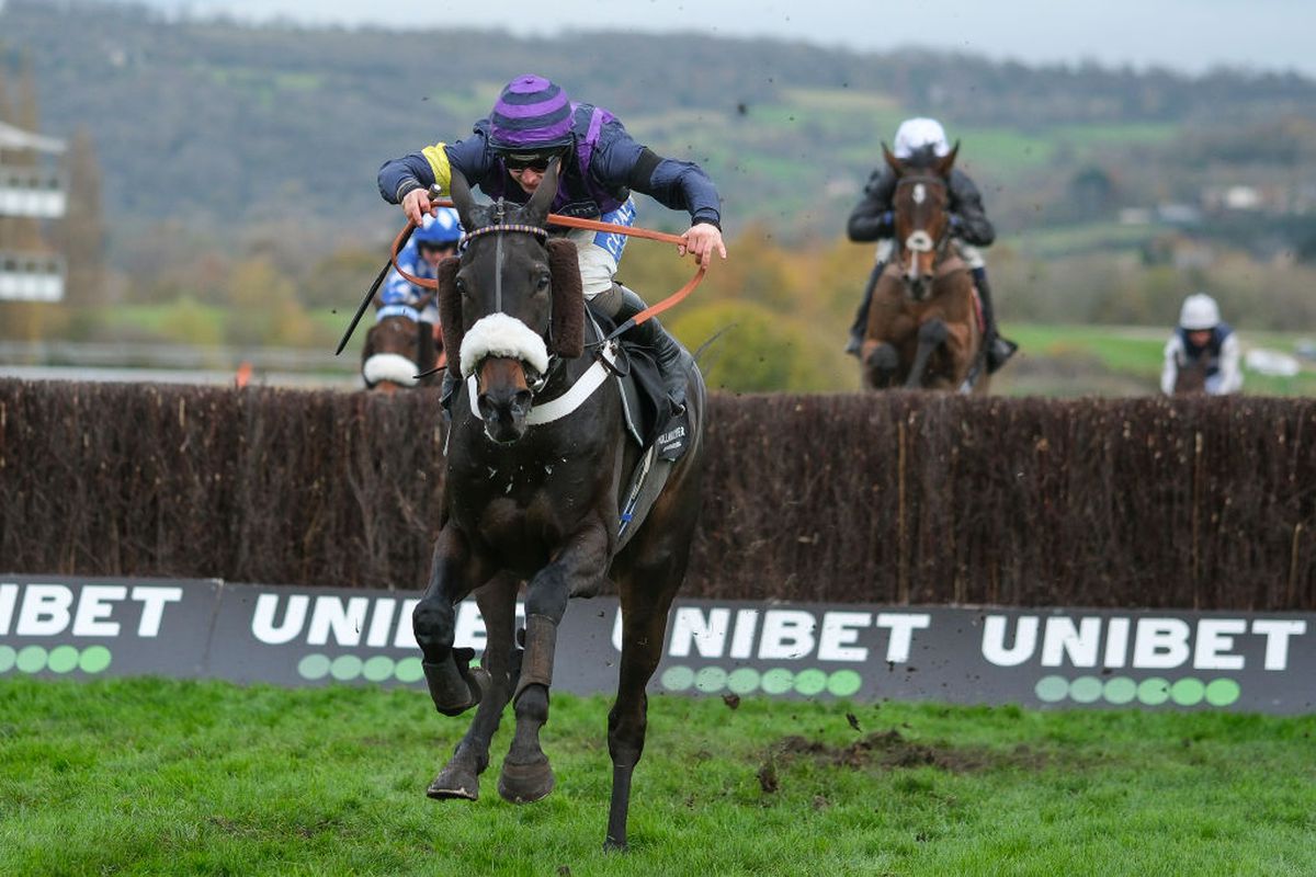 Tragedie în celebra cursă de la Cheltenham » Calul campion a murit în direct la TV.  Nu a fost singurul moment sumbru al zilei