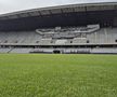Gazon nou pe Cluj Arena // FOTO: Facebook @Consiliul Judetean Cluj