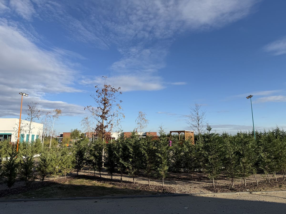 Cum arată Complexul de Recuperare Sfântul Nectarie construit de Mihai Neșu la Oradea