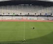 Gazon nou pe Cluj Arena // FOTO: Facebook @Consiliul Judetean Cluj