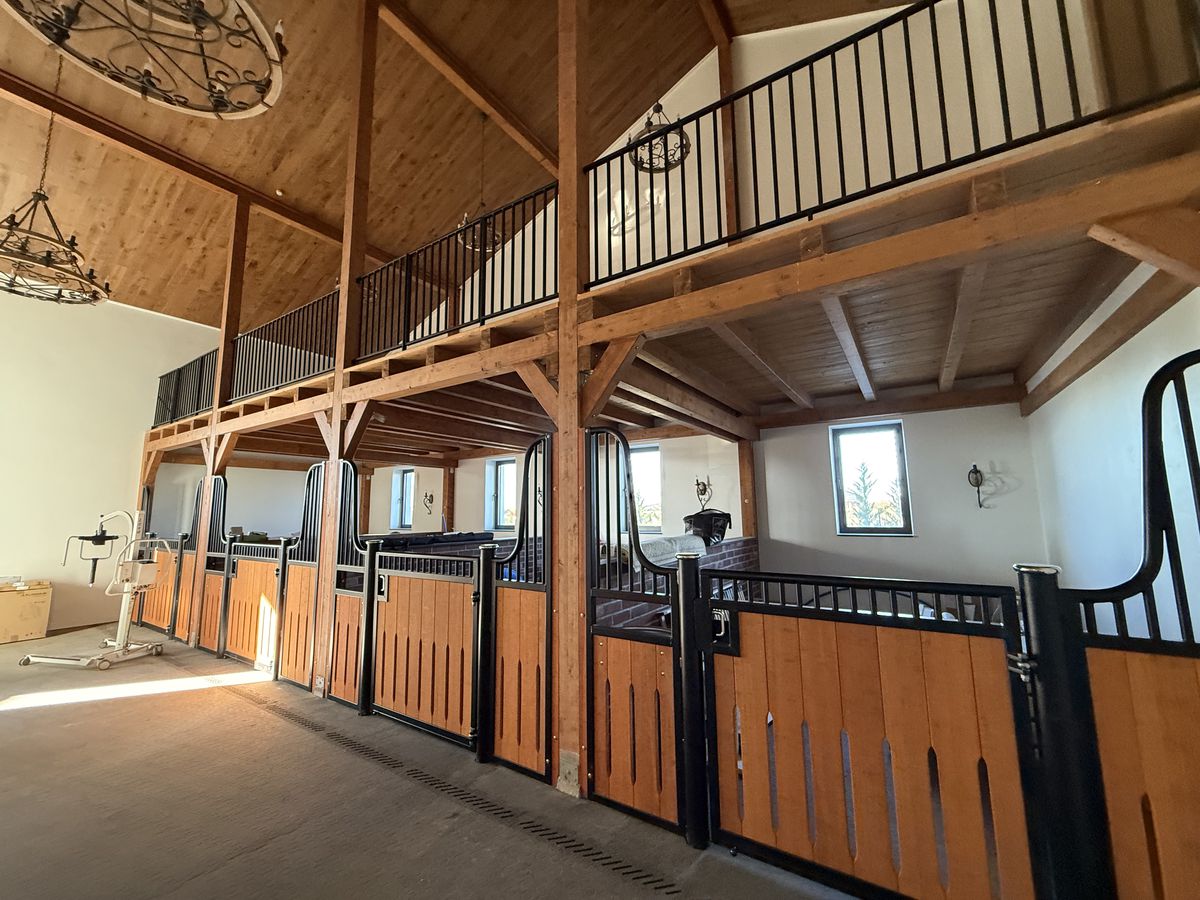 Locul în care renaște speranța » Mihai Neșu, ghid pentru GSP în complexul de 7 milioane € ridicat la Oradea: „Arată mult mai bine decât ne-am așteptat!”