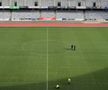 Gazon nou pe Cluj Arena // FOTO: Facebook @Consiliul Judetean Cluj