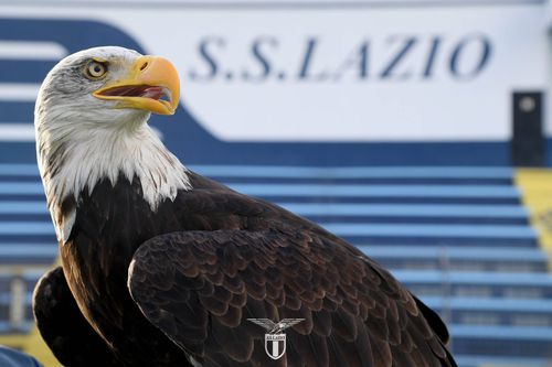 „Avanti Lazio. Vă prezentăm noul vultur” a fost anunțul postat pe conturile de socializare ale clubului de pe Olimpico / Foto: X