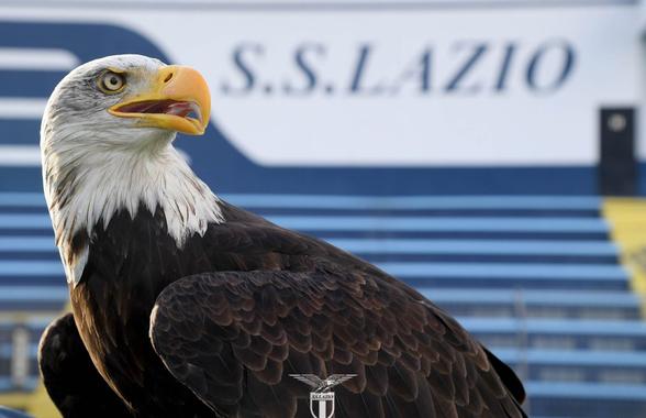 Lazio are o nouă mascotă: ar putea zbura de la meciul cu Lecce » Numele propuse suporterilor biancocelesti