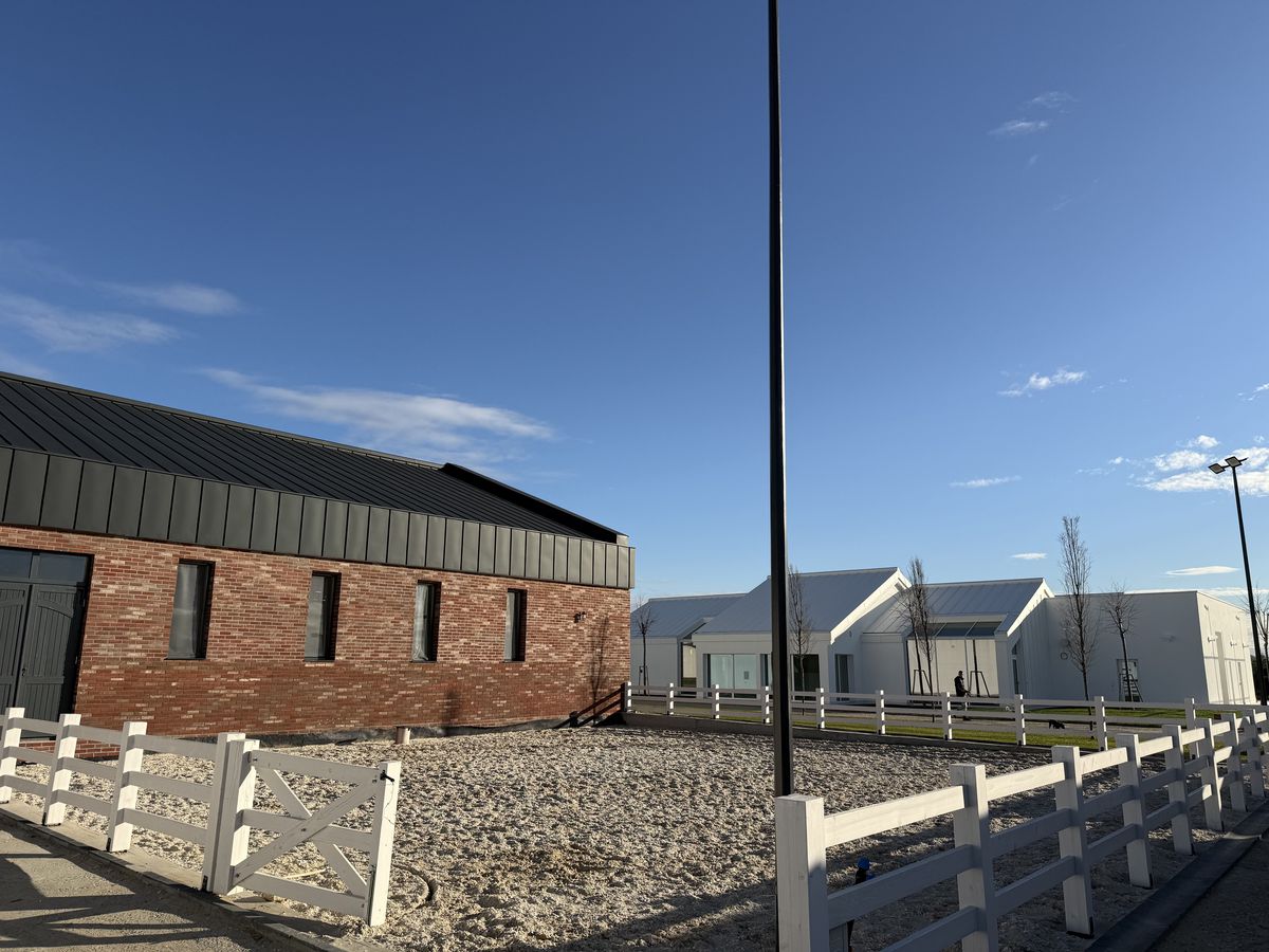 Cum arată Complexul de Recuperare Sfântul Nectarie construit de Mihai Neșu la Oradea