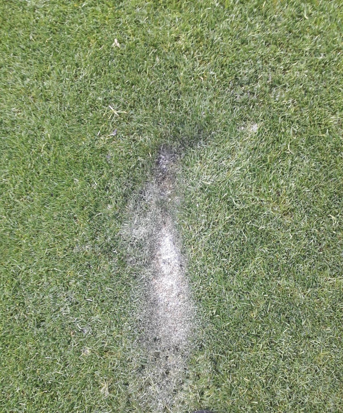 Arena arsă » Cum arată cel mai mare stadion din țară după FCSB - Rapid