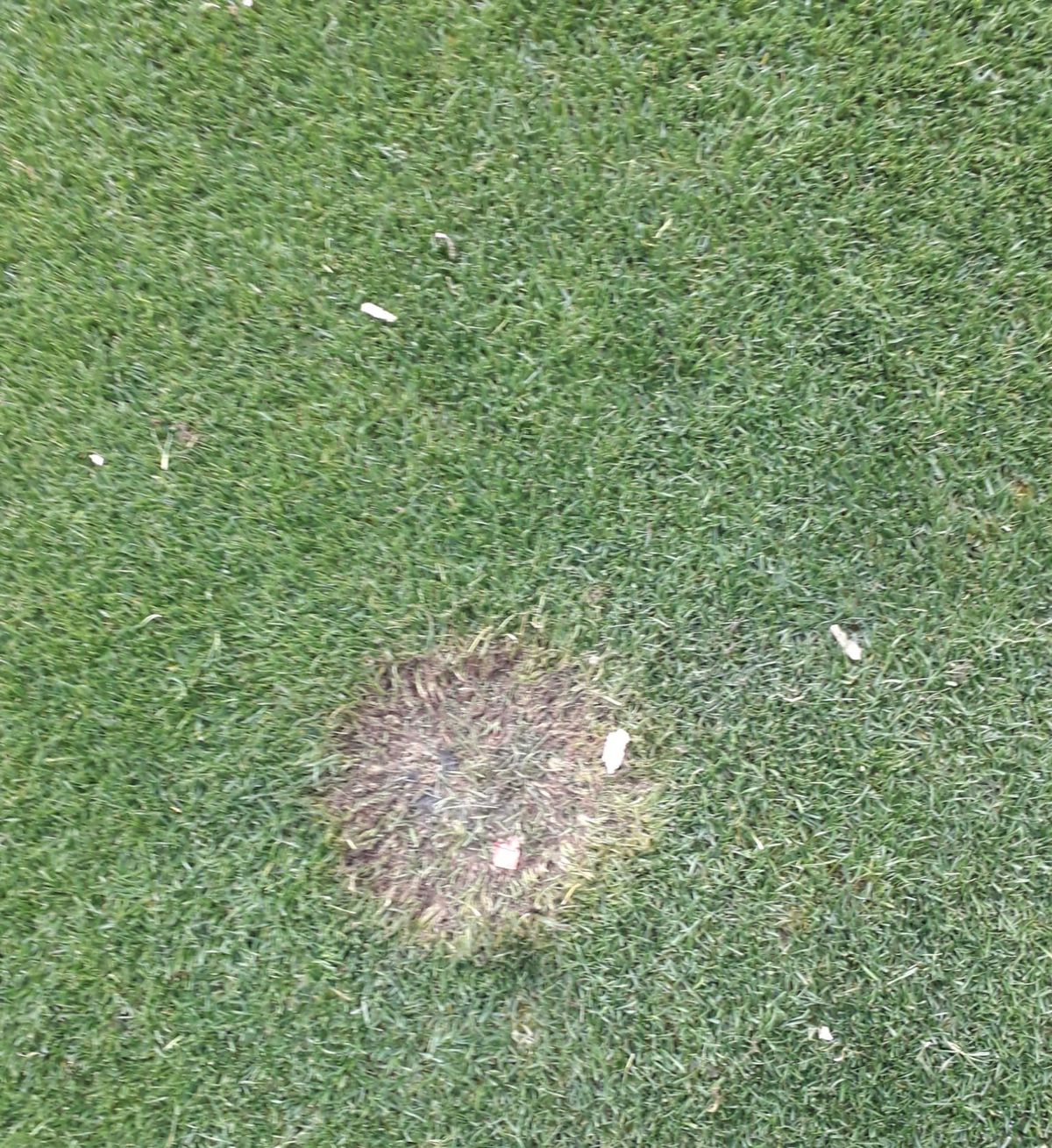 Arena arsă » Cum arată cel mai mare stadion din țară după FCSB - Rapid