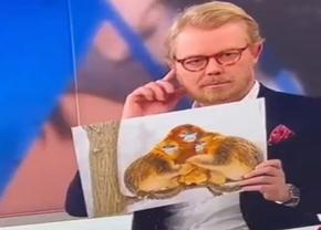 Scandal uriaș rasist! Un jurnalist din Danemarca a comparat legătura marocanilor cu familiile lor cu „o familie de maimuțe”! Nemții i-au comparat cu ISIS!