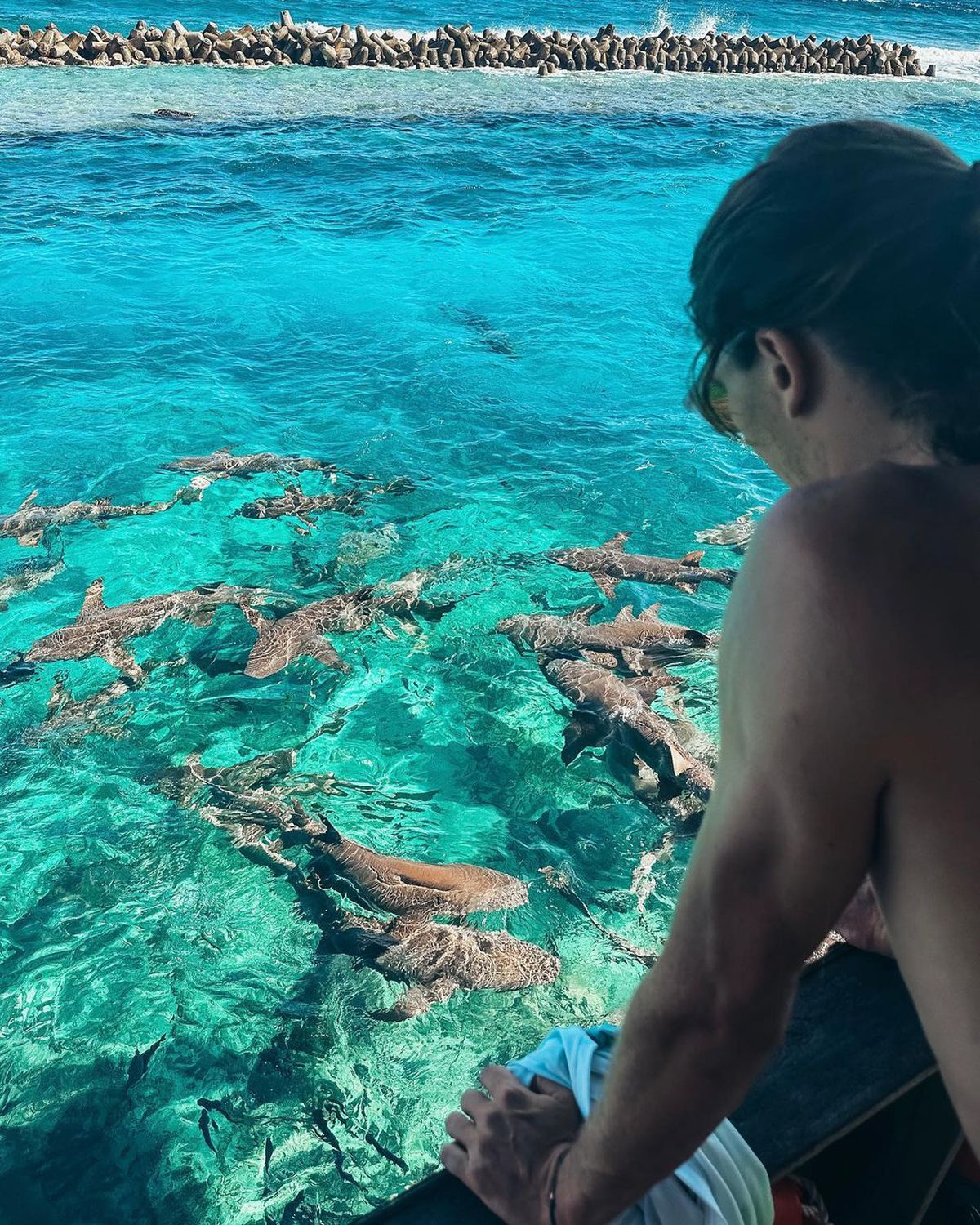 Alexander Zverev, călătorie de Crăciun spre Australia, după o vacanță de vis în Maldive