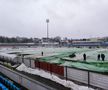 Stadion Botosani - vineri, 19 ianuarie