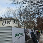 Au început lucrările în „Ștefan cel Mare” // FOTO: Eduard Apostol (GSP.ro)