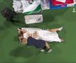 SIMONA HALEP - ONS JABEUR // FOTO Halep, probleme medicale la Dubai! Durerile la spate i-au dat emoții Simonei