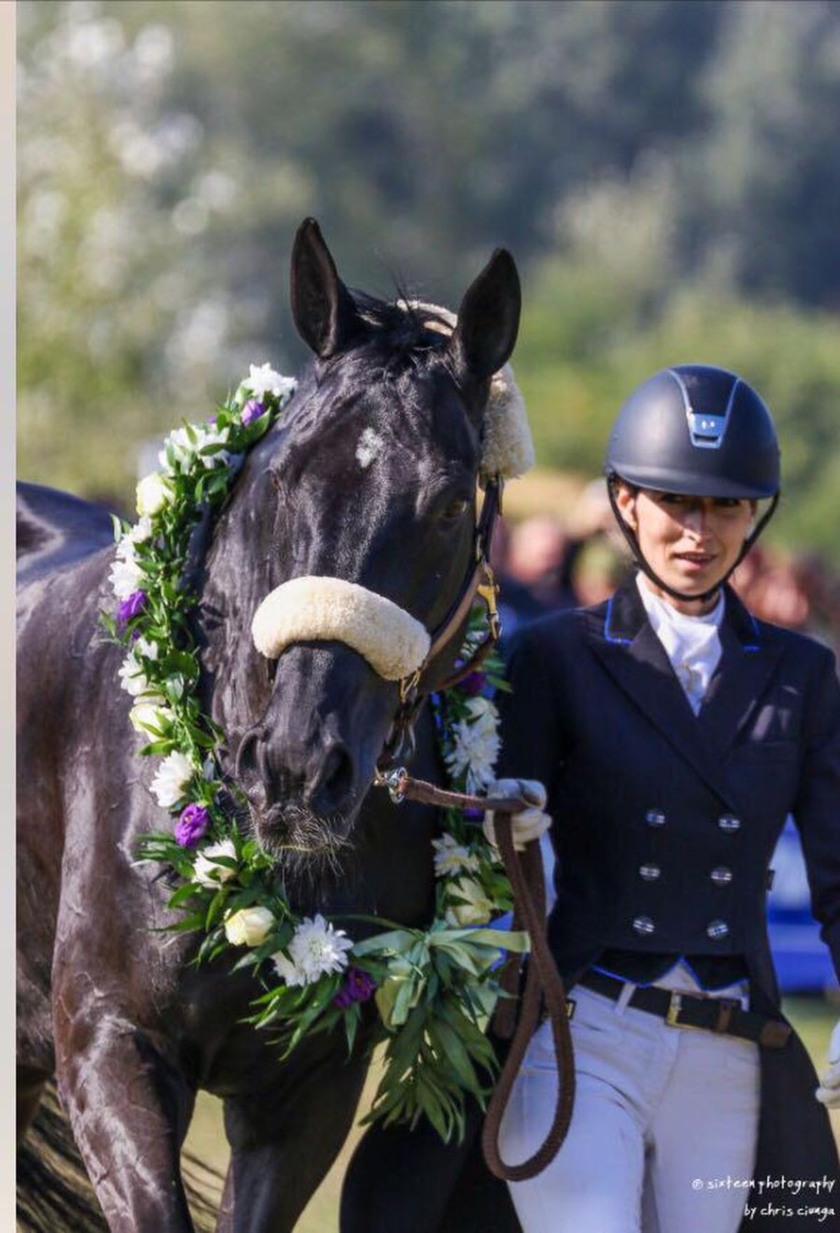 CSA Steaua, reacție după ce Gazeta a dezvăluit cum e tratat Siker, cel mai titrat cal al „roș-albaștrilor”