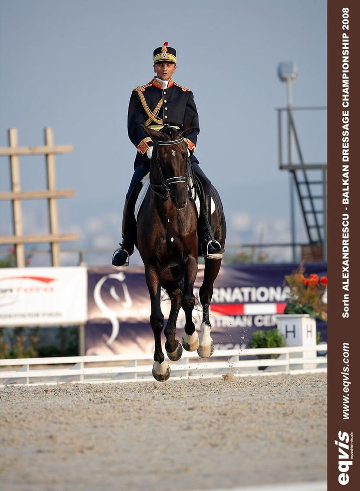 CSA Steaua, reacție după ce Gazeta a dezvăluit cum e tratat Siker, cel mai titrat cal al „roș-albaștrilor”