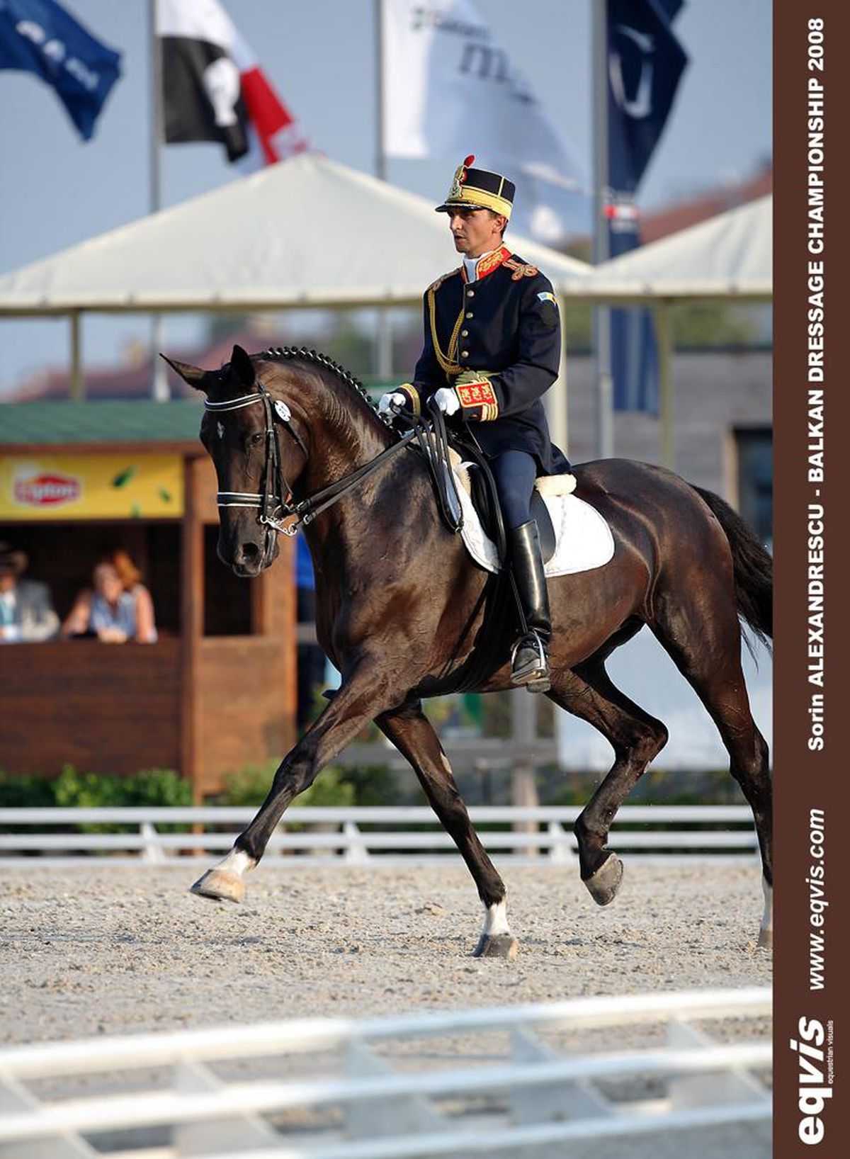 CSA Steaua, reacție după ce Gazeta a dezvăluit cum e tratat Siker, cel mai titrat cal al „roș-albaștrilor”