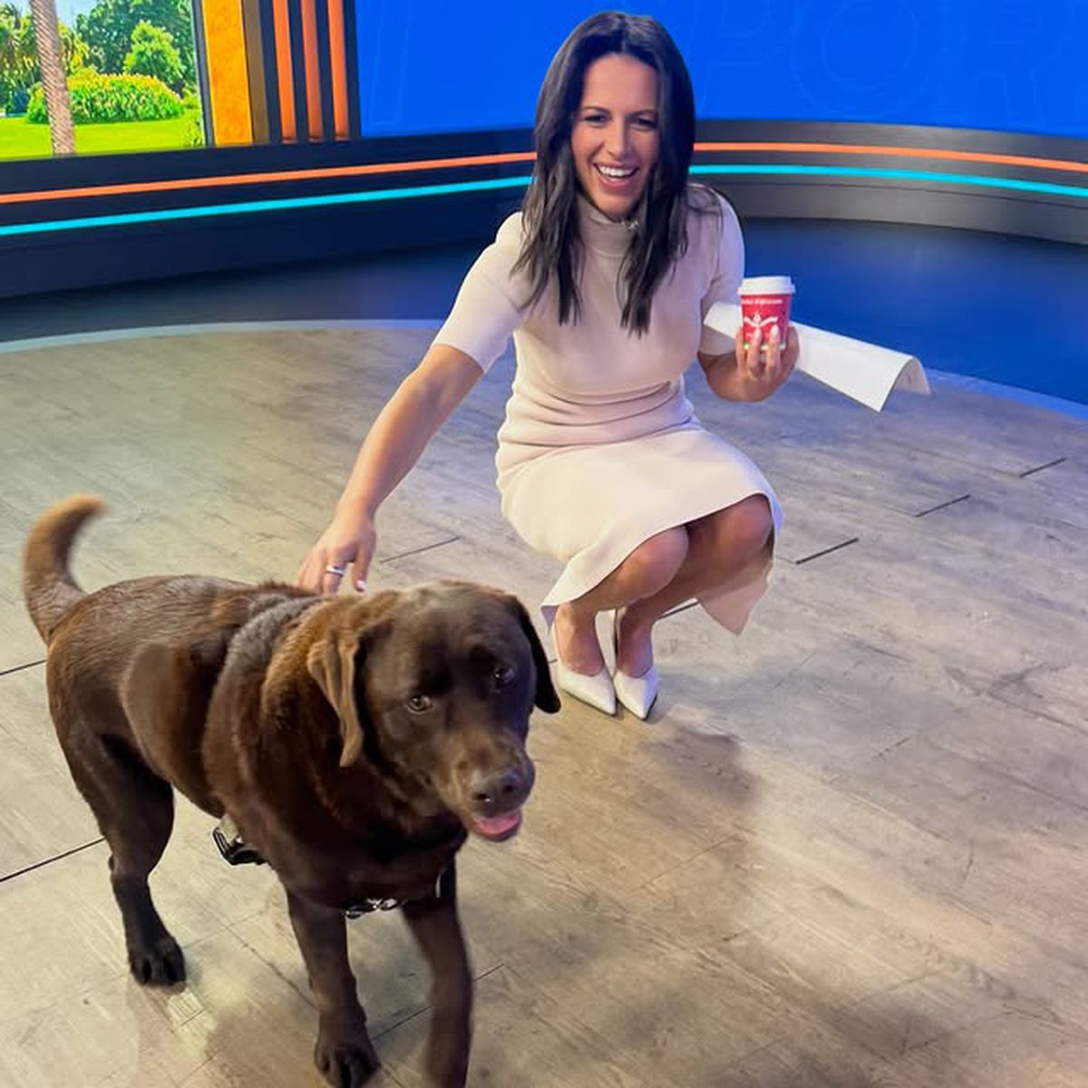 Jurnalista și-a prezentat scuze, după live-ul aiuritor de la Jocurile Olimpice: „Nu trebuia să beau alcool”