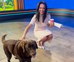 Jurnalista și-a prezentat scuze, după live-ul aiuritor de la Jocurile Olimpice: „Nu trebuia să beau alcool”
