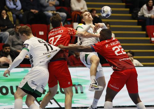 Dinamo - Fuchse Berlin / Foto: Cristi Preda (GSP)