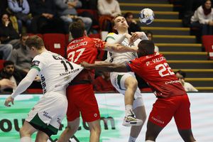 Dinamo - Fuchse, meci de gală în Liga Campionilor » Nemții măresc avantajul