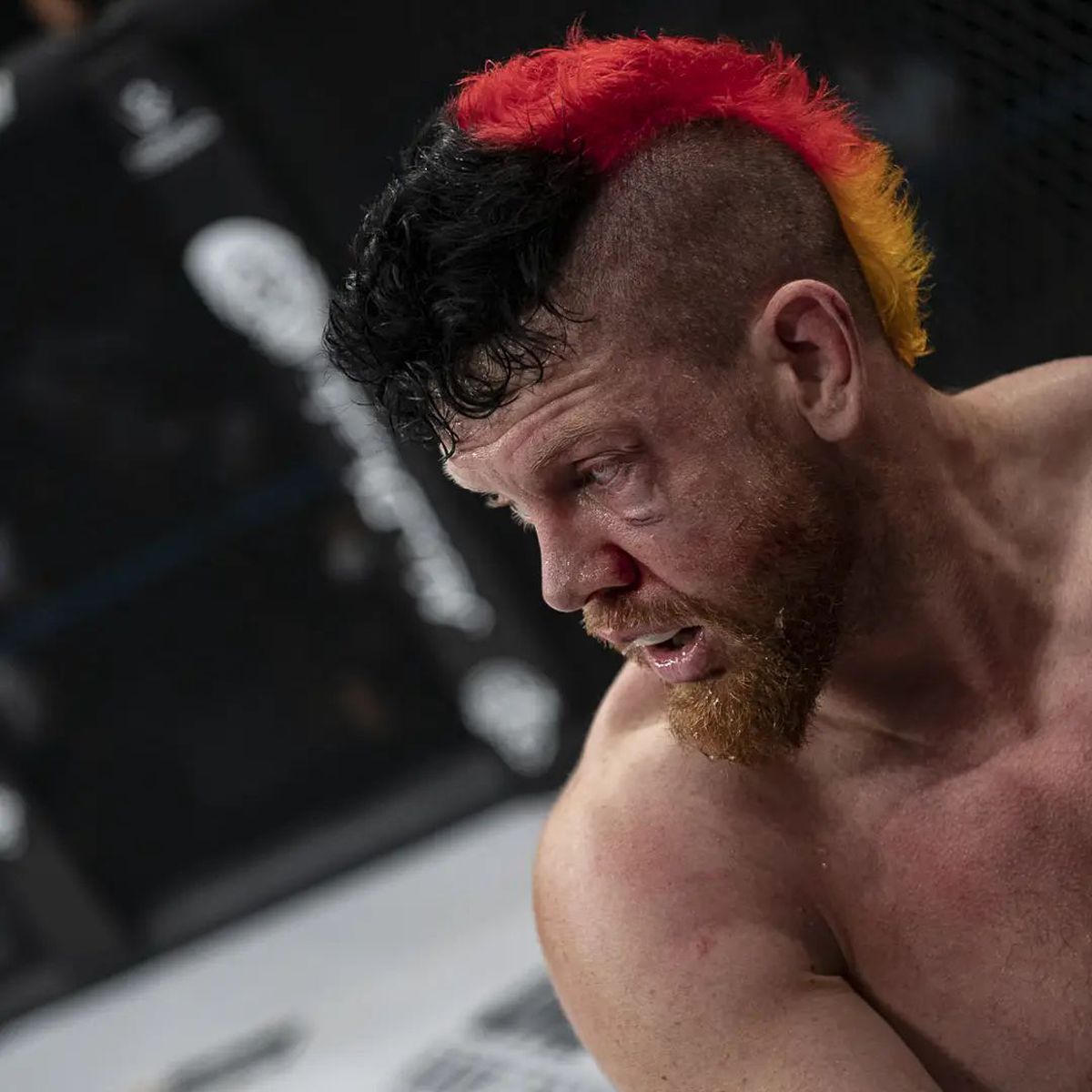 De la Chelsea, în cușcă » Fostul jucător al londonezilor luptă acum în MMA