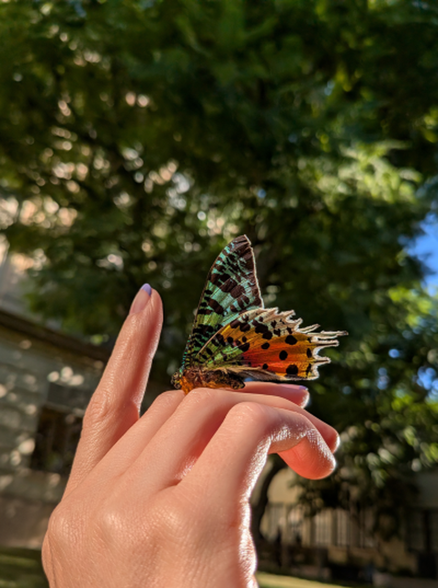 Google lansează noul telefon Pixel 9a în România