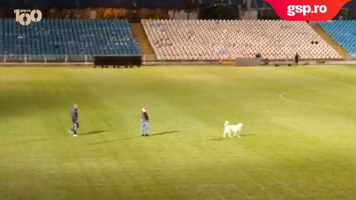 „El e, mă?”  » Imagini fabuloase cu Dorinel Munteanu imediat după calificarea în finala Cupei României Betano 