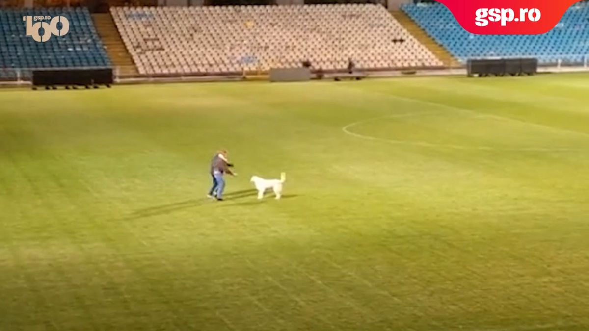 Dorinel Munteanu s-a jucat cu un cățel după calificarea în Cupa României