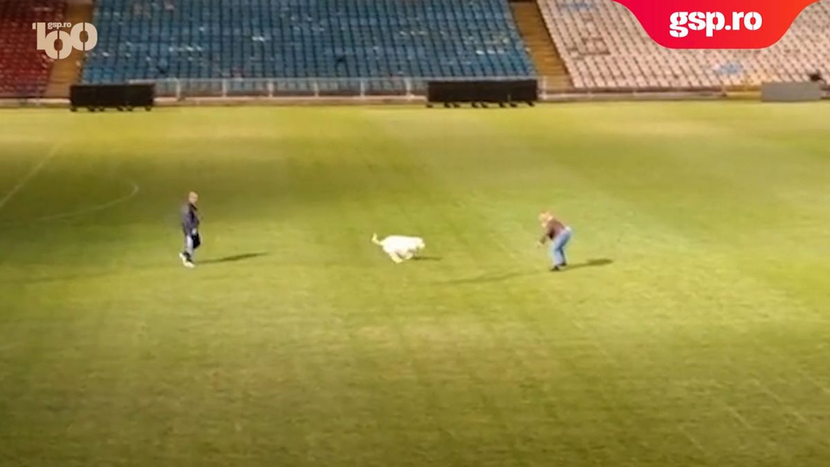 Dorinel Munteanu s-a jucat cu un cățel după calificarea în Cupa României