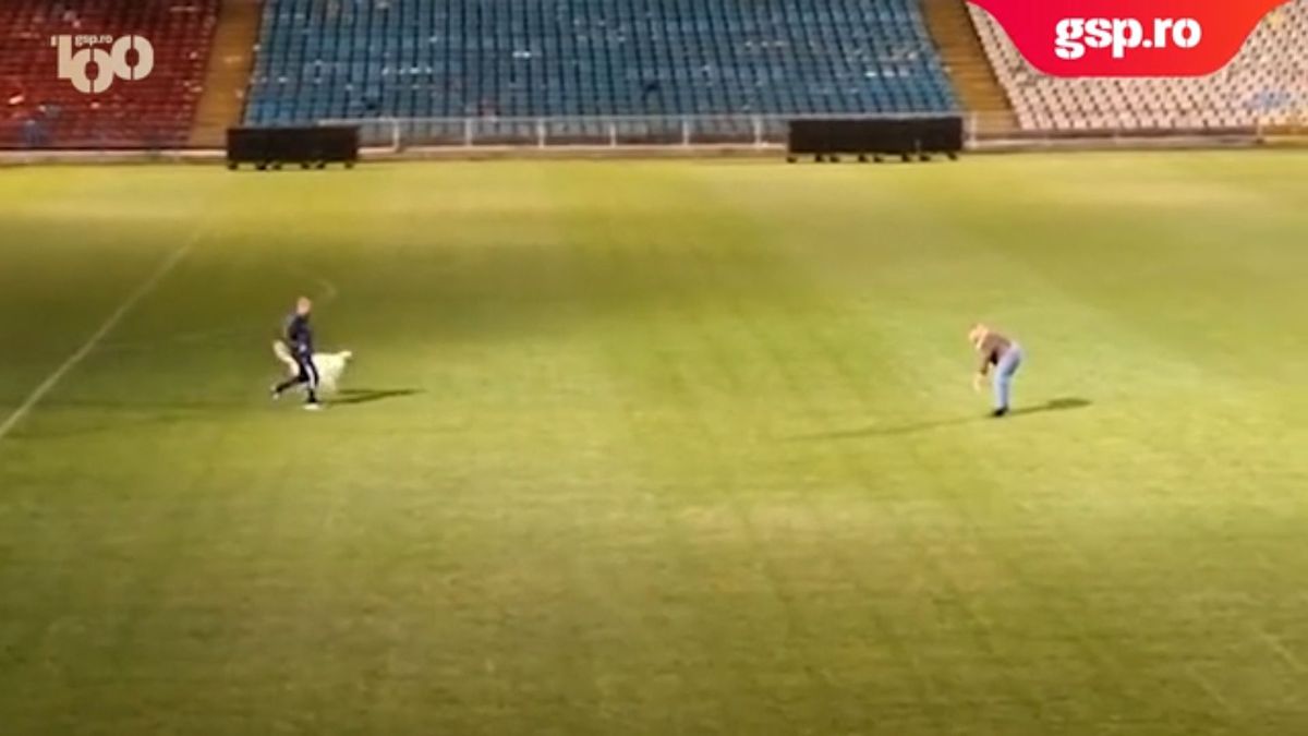 „El e, mă?”  » Imagini fabuloase cu Dorinel Munteanu imediat după calificarea în finala Cupei României Betano 