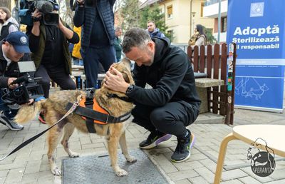 SUA și Anglia, copy-paste după FCSB și Dinamo + Fața nevăzută a lui Mihai Stoica: „Ne ajută foarte mult. În țară e o tragedie”