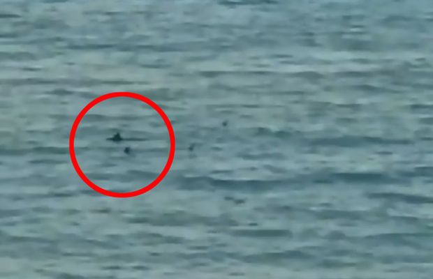 VIDEO Clipe dramatice » Sportivul paralimpic a început să înoate disperat spre mal, după ce mama lui i-a strigat că e înconjurat de rechini