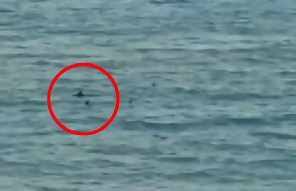 VIDEO Clipe dramatice » Sportivul paralimpic a început să înoate disperat spre mal, după ce mama lui i-a strigat că e înconjurat de rechini