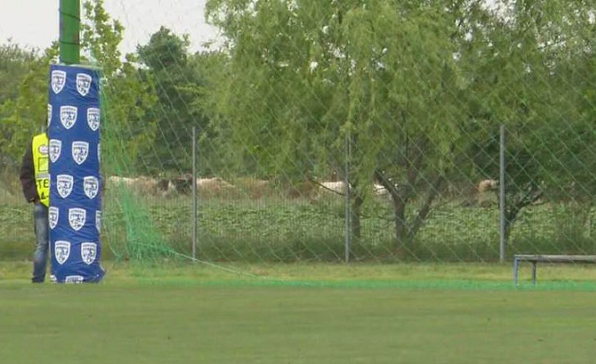 FCSB U15 - Steaua U15. 19.05.2024