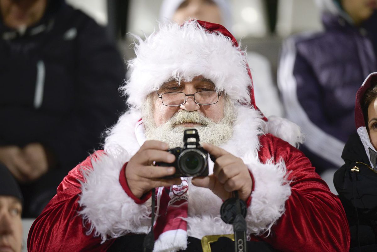 Galerie Rapid - evergreen