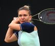 Simona Halep - Beatriz Haddad Maia 3-6, 6-2, 4-6. Ratăm o finală 100% românească istorică la Birmingham
