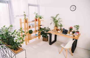 Amenajare a unui spațiu verde funcțional și estetic pentru birouri