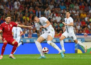 Slovenia - Serbia, cu Istvan Kovacs la centru » Echipele probabile + cele mai tari cote