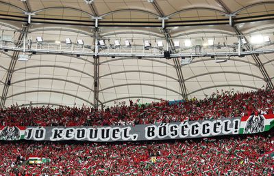 Din Superliga, la EURO 2024 » Ce s-a putut auzi pe stadion la Germania - Ungaria