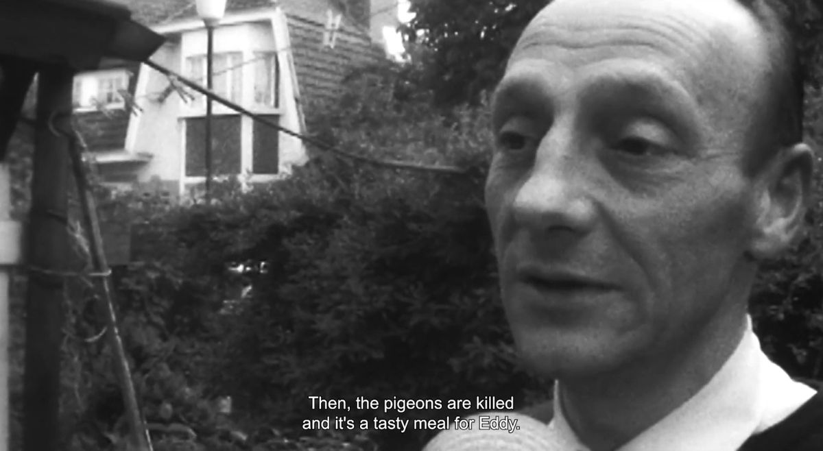 „Merckx” la TIFF! Doi regizori belgieni au realizat un documentar despre cariera legendarului ciclist Eddy Merckx: „Puteam să facem 50 de filme”