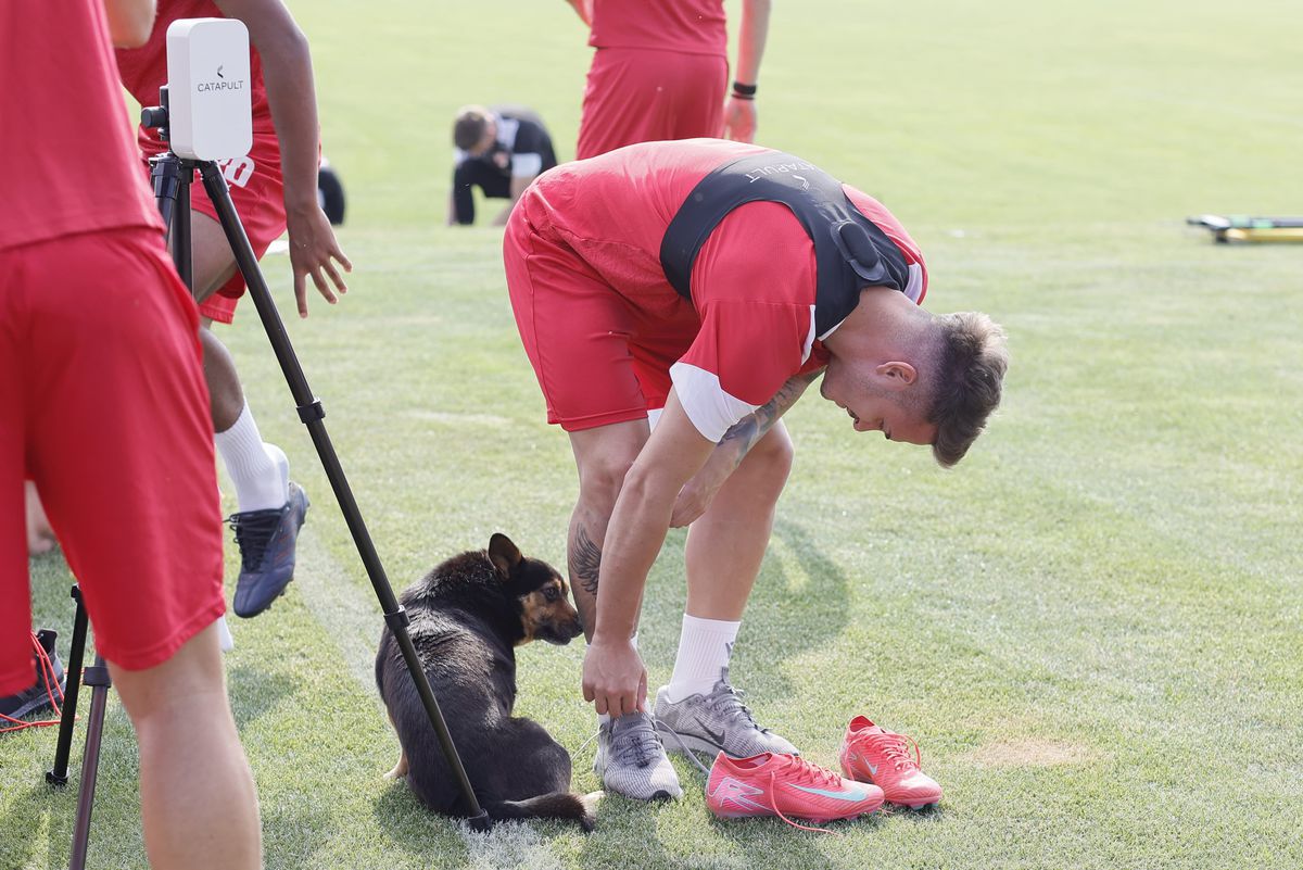 Imagini de la antrenamentul lui Dinamo de la Curtea de Argeș