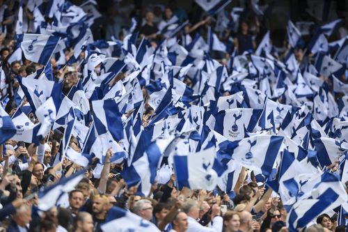 Fani Tottenham / Foto: Imago