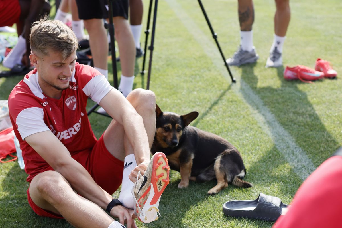 5 detalii de la pregătirea lui Dinamo: cine s-a pregătit separat, cum s-a integrat Musi + A venit și jucătorul care vrea să plece