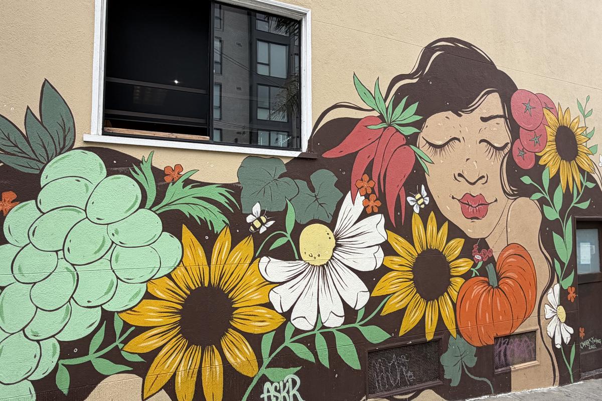 Imagini din San Francisco 1