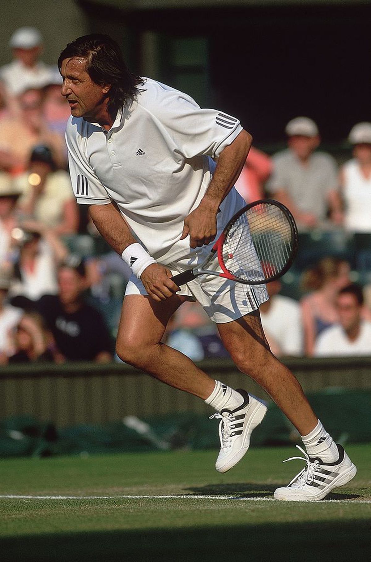 Prințul Dimitrie Sturdza, dezvăluiri incredibile despre Țiriac&Năstase: „Stăteau într-o pivniță la Wimbledon, dormeau în același pat”