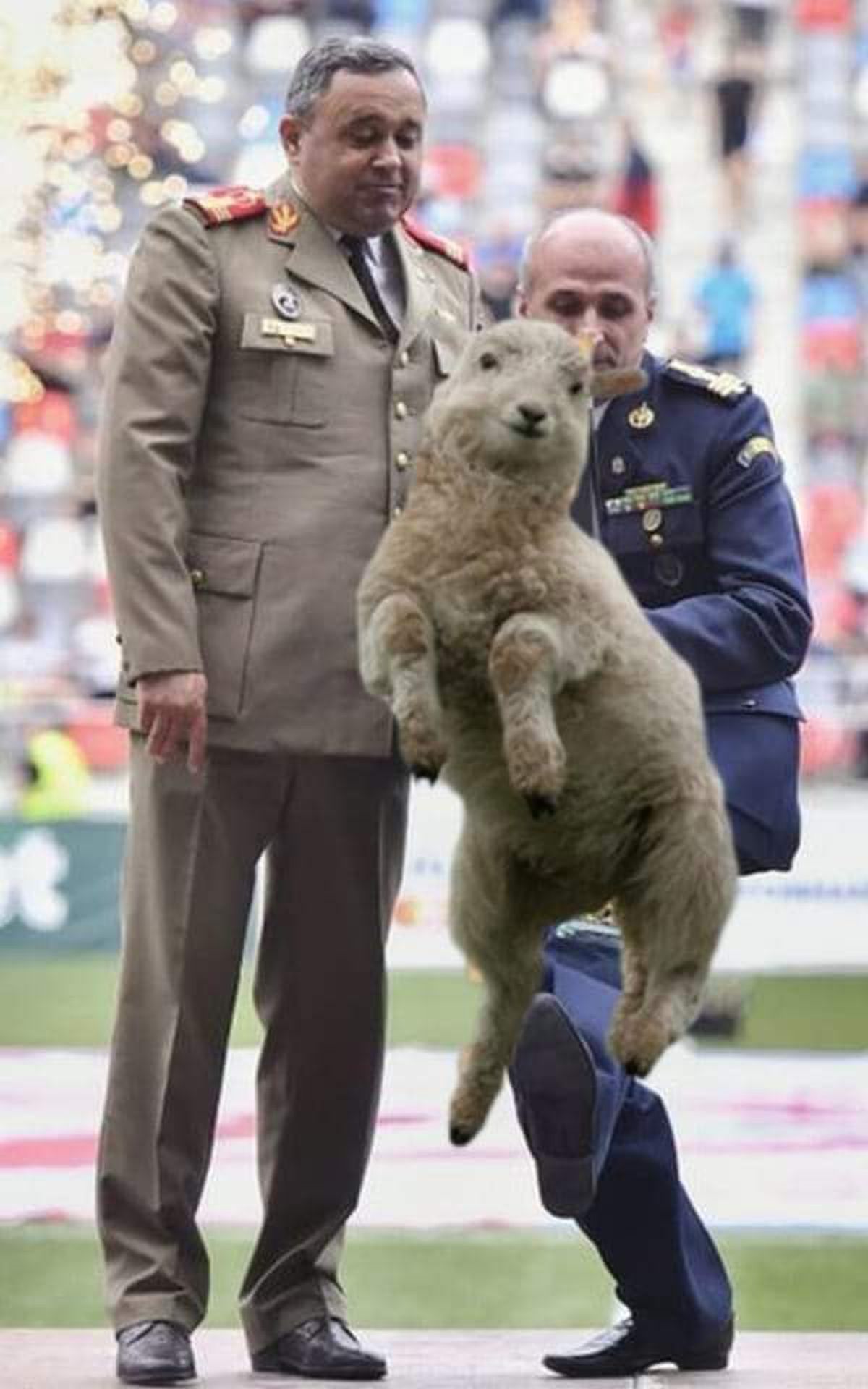 Cele mai tari memeuri după ce FCSB a fost interzisă în Ghencea » Cum râd susținătorii Stelei de Gigi Becali