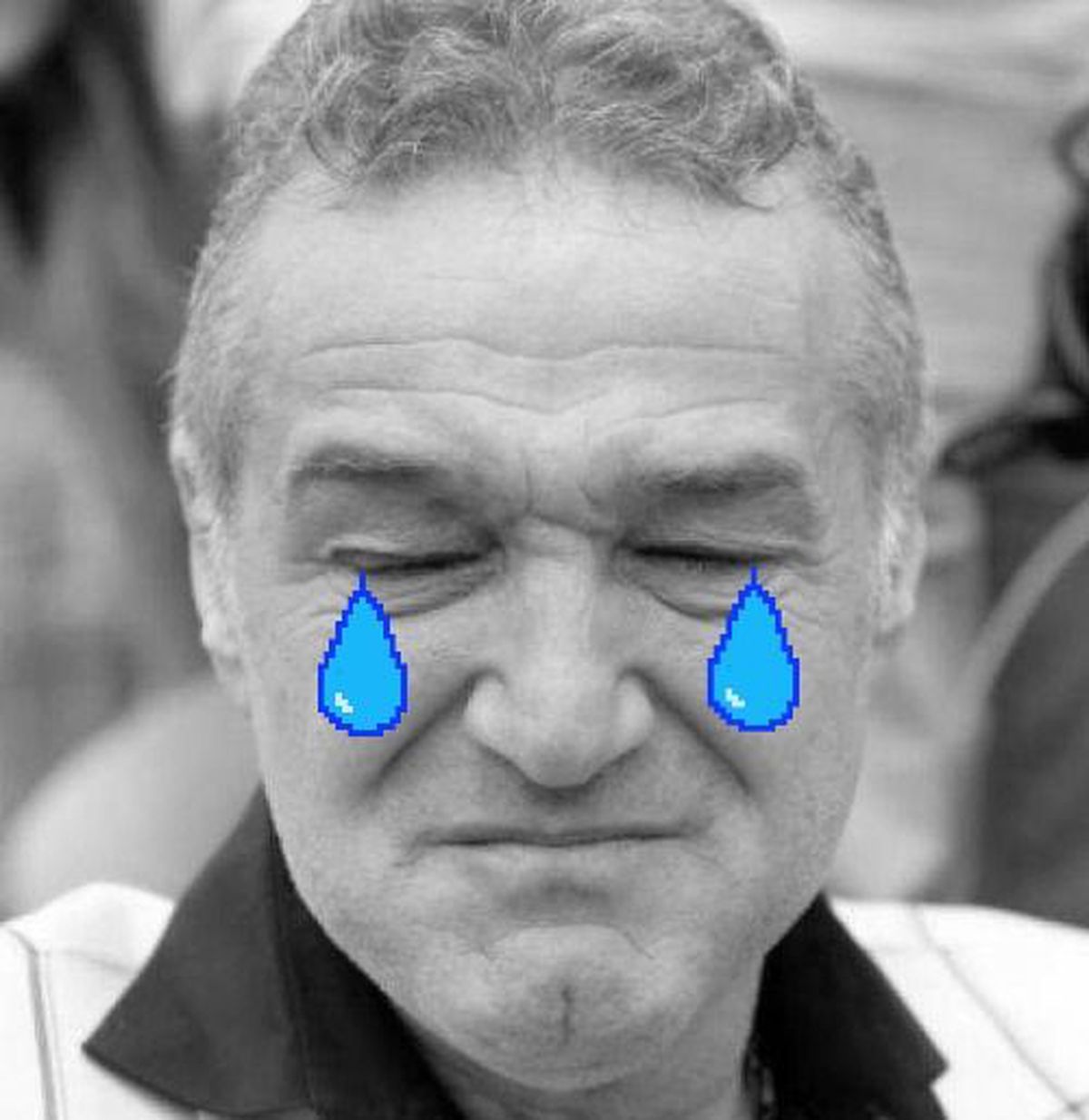 Cele mai tari memeuri după ce FCSB a fost interzisă în Ghencea » Cum râd susținătorii Stelei de Gigi Becali