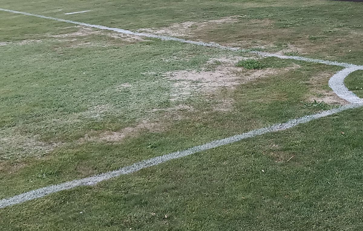 Starea jalnică în care se prezintă gazonul, înaintea meciului Unirea Slobozia - FCSB