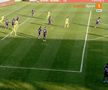 CS Mioveni - FC Argeș, întrerupt peste 10 minute din cauza VAR » Deciziile lui Hațegan