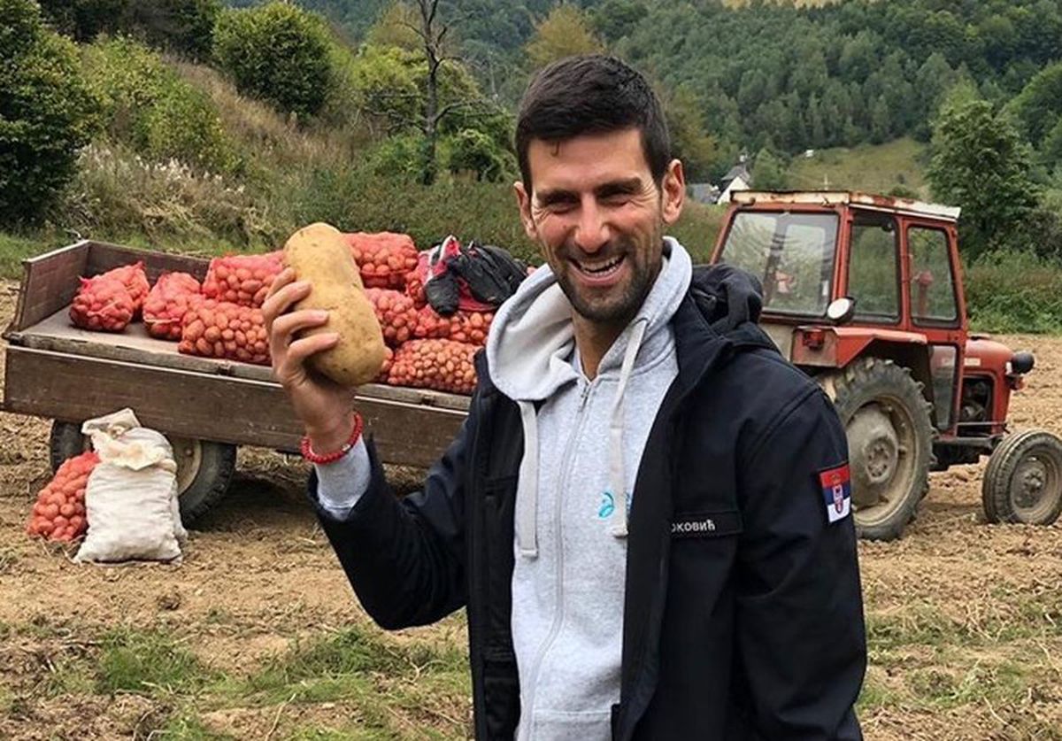 GALERIE FOTO Marele Novak Djokovic, la recoltat cartofi! » Două campioane mondiale din România l-au imitat
